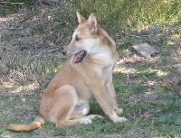ITZIK